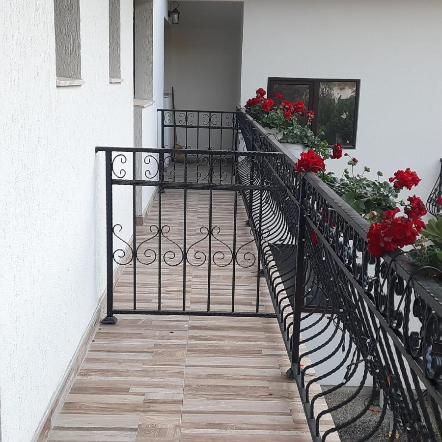 Hotel Casa Dana Olteanu Moeciu De Sus Zewnętrze zdjęcie