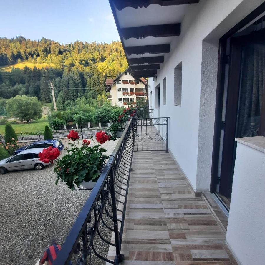 Hotel Casa Dana Olteanu Moeciu De Sus Zewnętrze zdjęcie