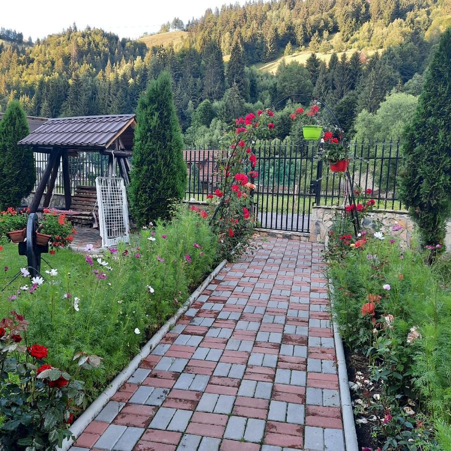 Hotel Casa Dana Olteanu Moeciu De Sus Zewnętrze zdjęcie