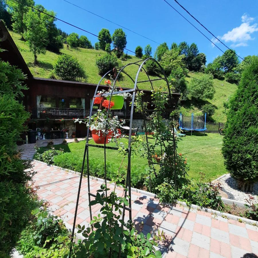 Hotel Casa Dana Olteanu Moeciu De Sus Zewnętrze zdjęcie